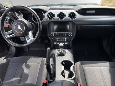 2019 Ford Mustang EcoBoost
